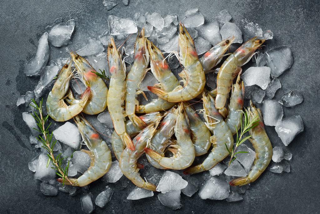 seafood. large tiger prawns on ice. top view.